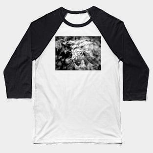 Frosted Nature Baseball T-Shirt